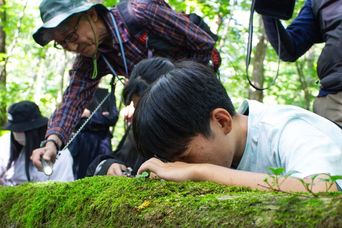 【星野リゾート 奥入瀬渓流ホテル】8月10日「苔の日」に、苔を通して地域の観光を支えてきた事業者の取り組みを、地元の中…