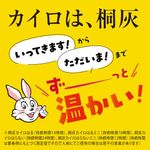 桐灰カイロ はる 10個入