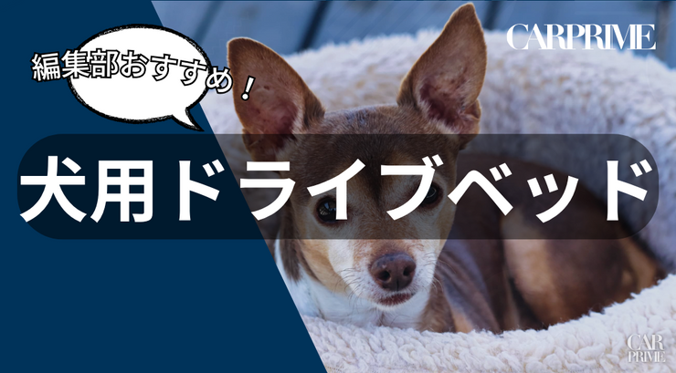 犬用ドライブベッド
