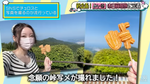 峠チュロス
