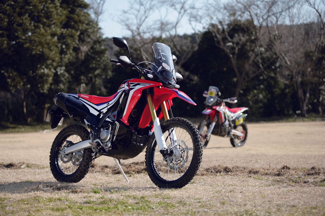 アヘッド　HONDA CRF250RALLY