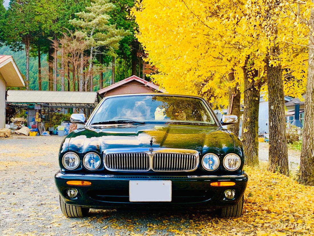 都内でも維持費ゼロで車に乗れる ジャガーxjで挑戦してみた By 車選びドットコム