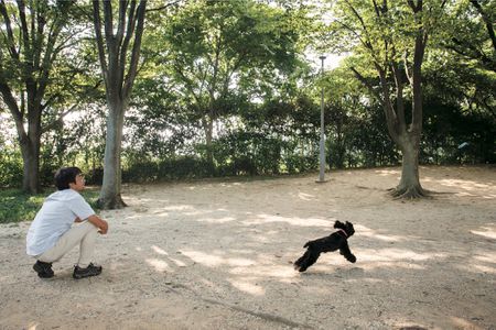 アヘッド 守谷SA(下り線)