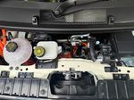 BYD ラッコ racco