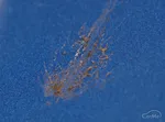 サムネ