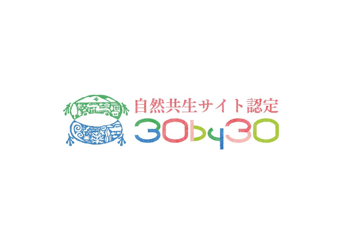 トヨタ　新たな間伐材プロジェクト「はじめてのとよた」を発表トヨタ三重宮川山林の間伐材から誕生した乳幼児向けの木製玩具「…