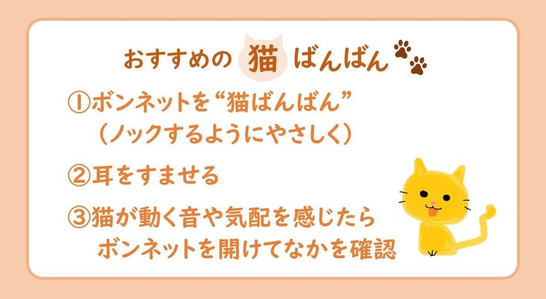 猫がクルマに入り込むポイントは“寒さ”より“子猫”ＪＡＦに要請のあったトラブル件数は6月に343件！