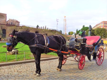 1馬力ってどれくらいのパワー 人間でもだせるの 車ニュース 中古車情報 中古車検索なら 車選びドットコム 車選び Com