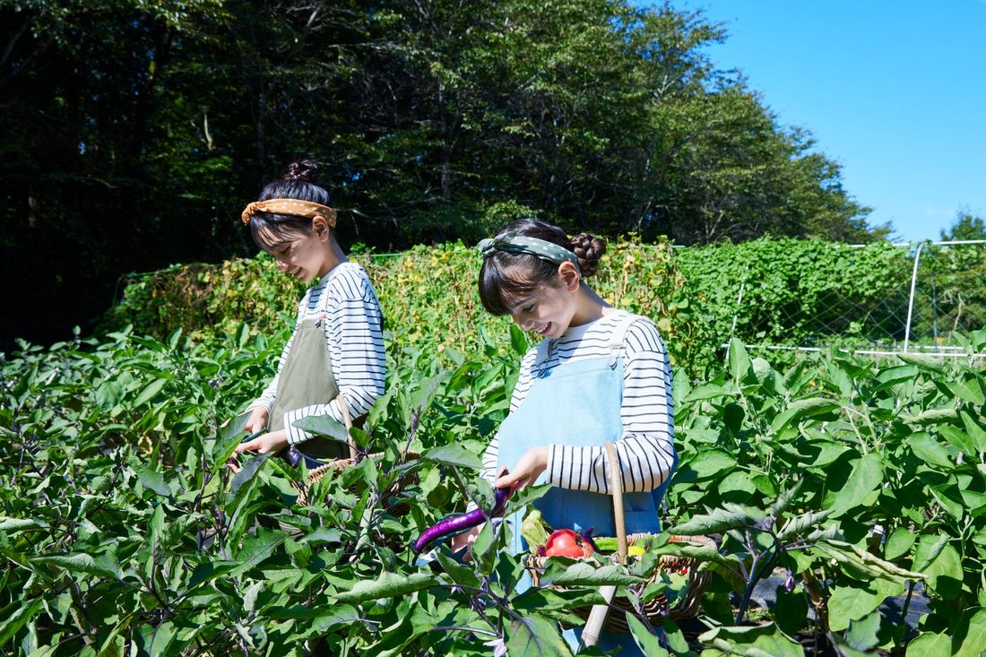 【星野リゾート　リゾナーレ（トマム、那須、八ヶ岳、熱海、小浜島、グアム）】大自然を舞台に楽しく、本格的に学ぶ「リゾナー…