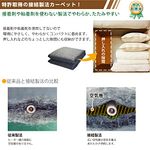 電気カーペット  VWU101R-C