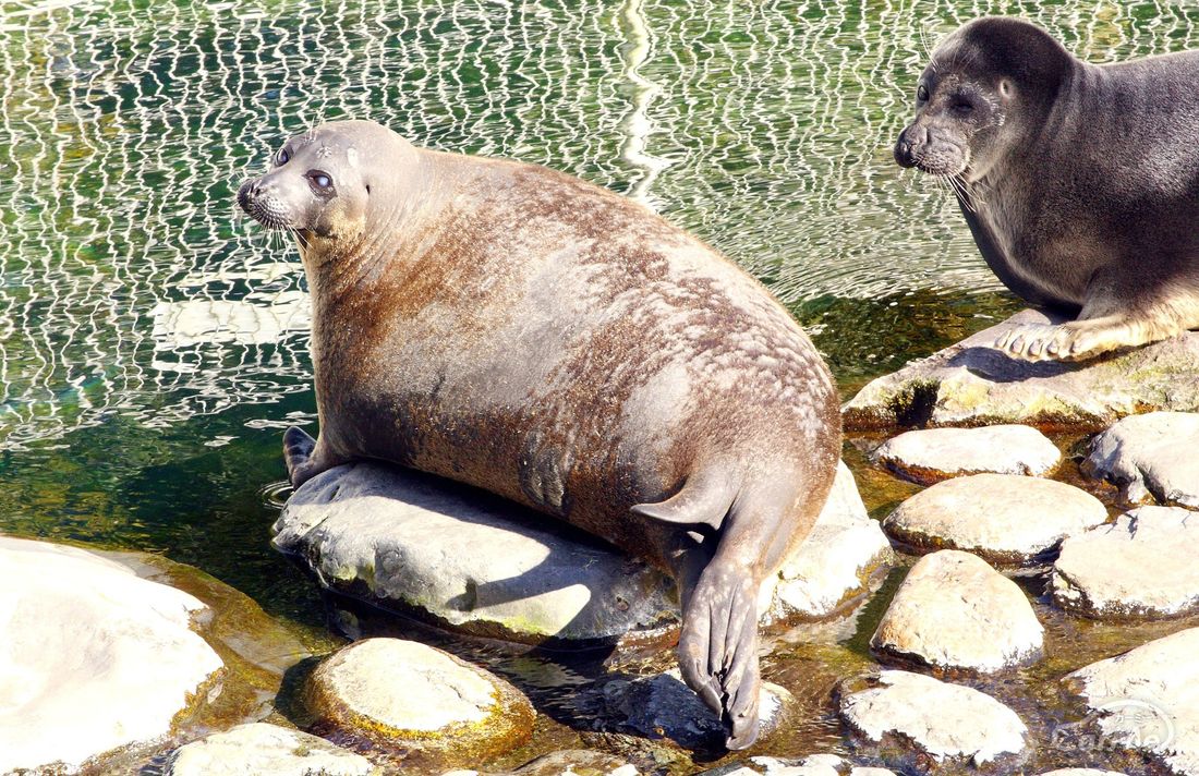 箱根水族館