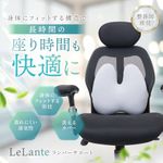 クッション ランバーサポート ダークグレー