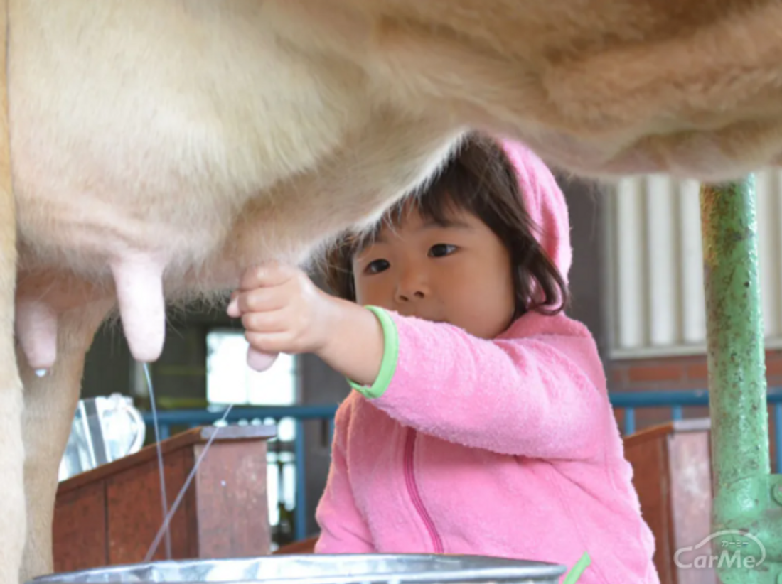 栃木 那須温泉 おすすめ観光スポット10選 東京から日帰り入浴も 雄大な自然を季節問わず堪能の写真 2枚目