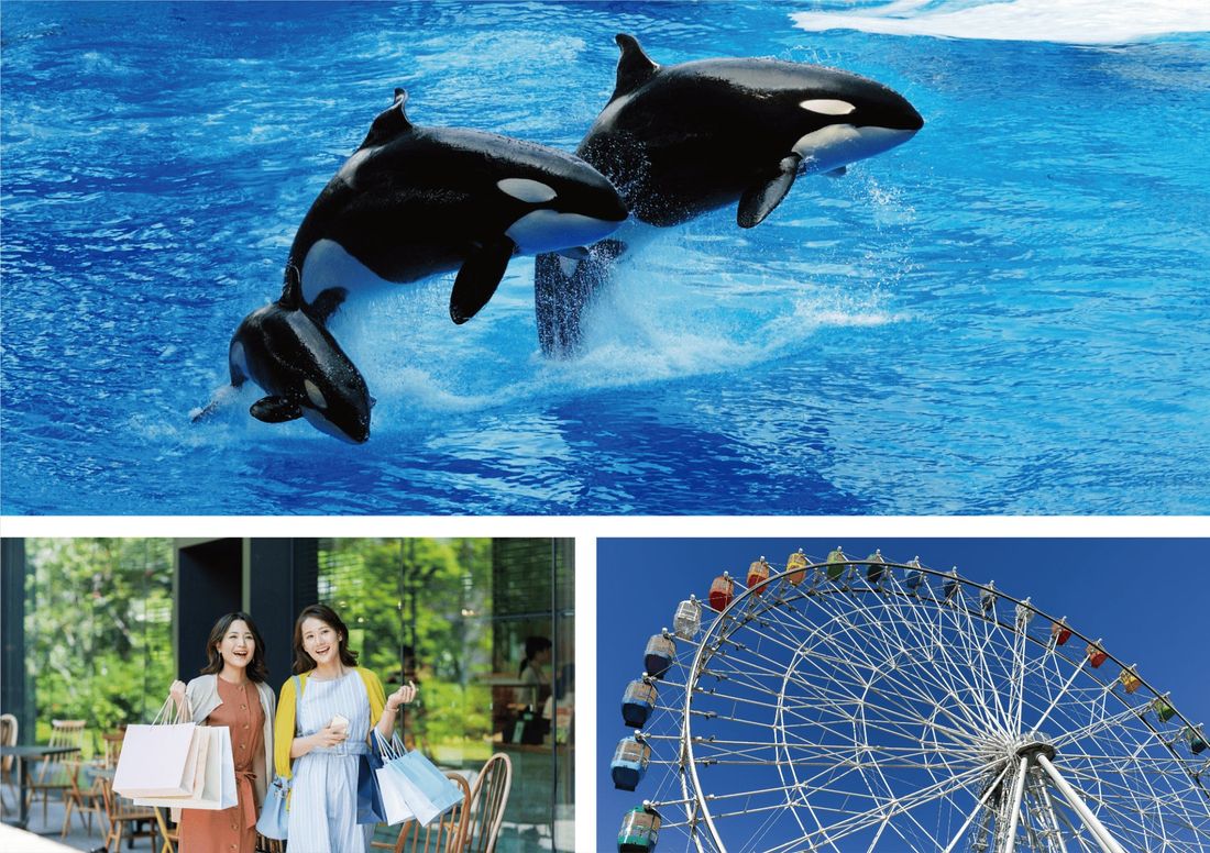 夏のグランピング祭り!1泊するともう1泊無料の特別キャンペーン始めました。