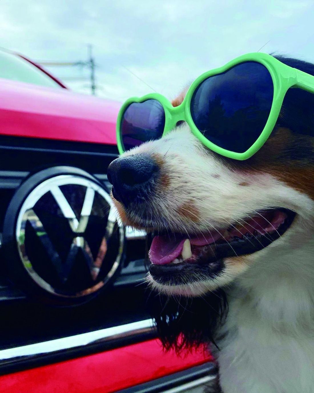 フォルクスワーゲン、「Love Brand（ラブ ブランド）」戦略の一環として「I Love Volkswagenフォ…