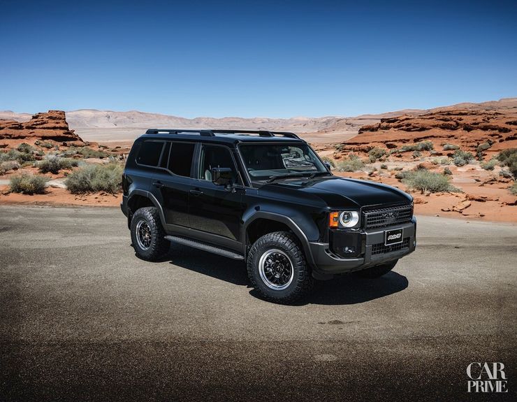 ALAP_07x_bd_17_LC250_cmyk_edit_001