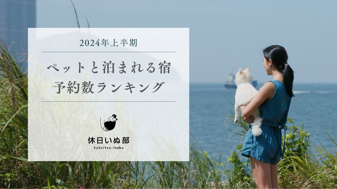 休日いぬ部、2024 年上半期の「ペットと泊まれる宿 予約数ランキング」を発表