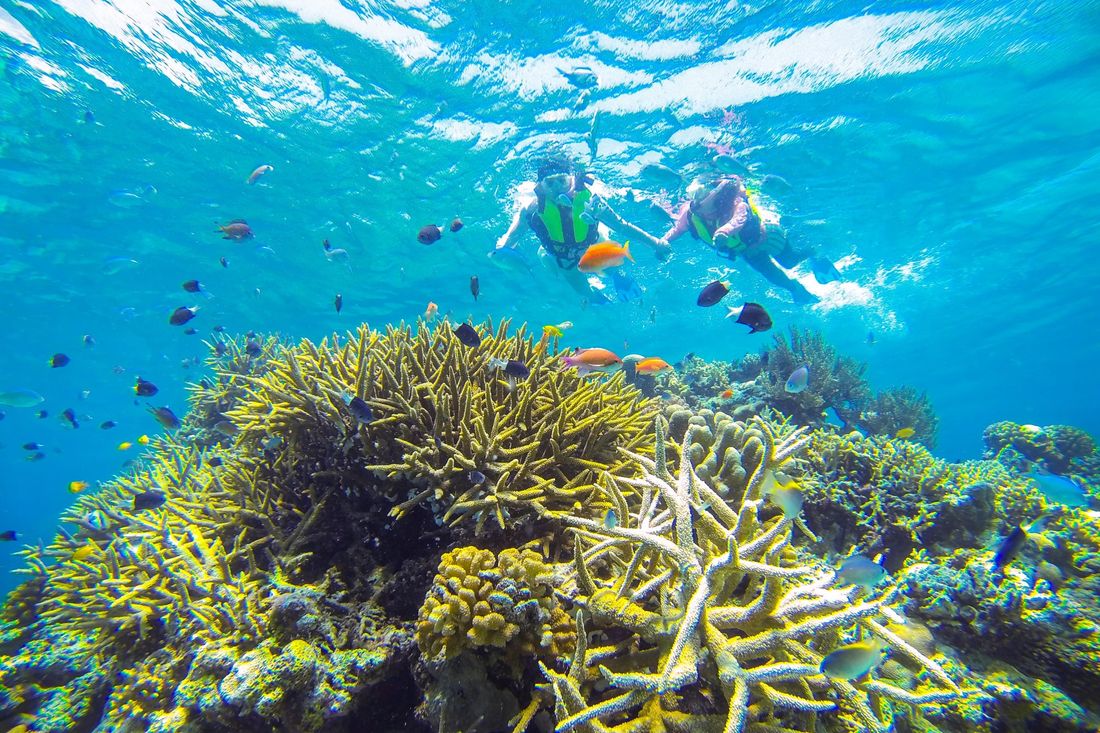 【星野リゾート リゾナーレ(トマム、那須、八ヶ岳、熱海、小浜島、グアム)】大自然を舞台に楽しく、本格的に学ぶ「リゾナー…
