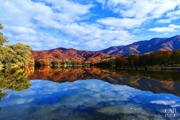  東京からアクセスしやすい紅葉スポット