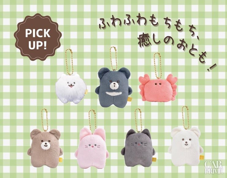 AS MUSTおすすめの組み合わせ