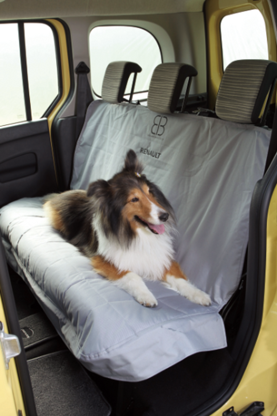 Dog Meets Renault Kangoo カングー は スーパー ペットフレンドリーだ