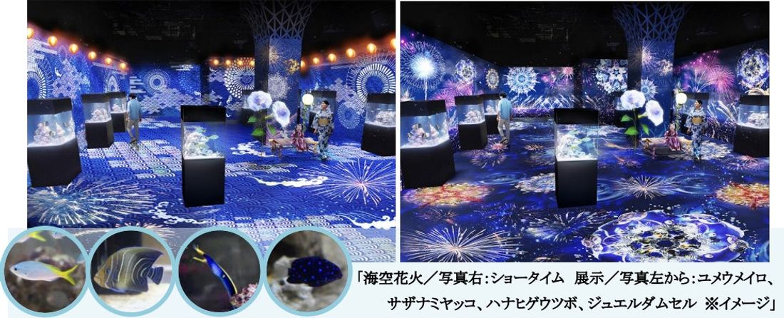 【マクセル アクアパーク品川】花火に夏祭り、納涼体験、音楽フェス!『NAKED 花火アクアリウム』【2024年7月13…