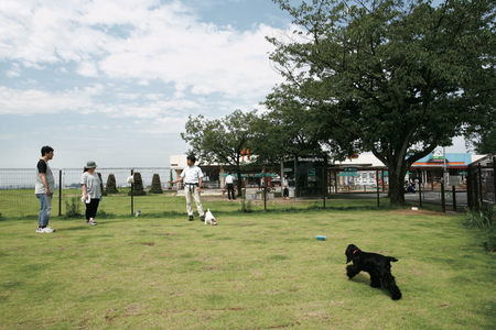 アヘッド vol.2 佐野SA(下り線)