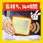 桐灰カイロ はる 10個入