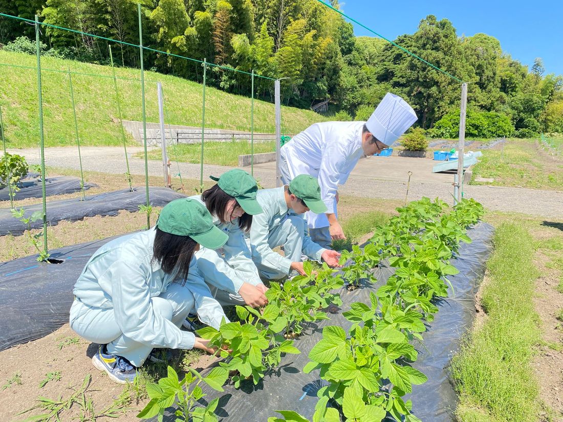 「四日市農芸高等学校」×「都ホテル 四日市」コラボ企画　夏休み・お盆の期間限定！『サマーブッフェ』を開催します