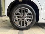 BYD ラッコ racco
