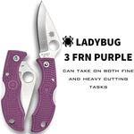 Spyderco(スパイダルコ) レディバグ3 黒 直刃　２