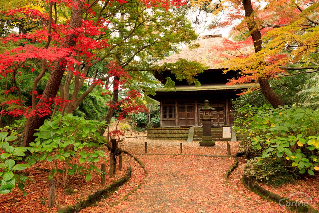 三渓園