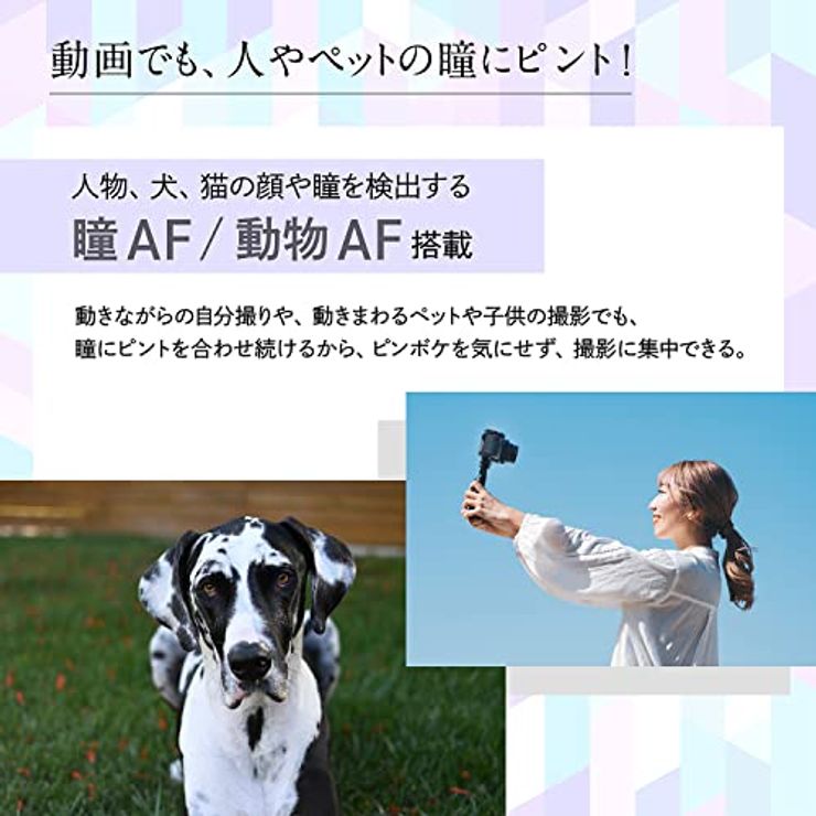 ミラーレス一眼 Z30 16-50 VR レンズキット Zマウント APS-C 動画 Vlog 手振れ補正ブラック