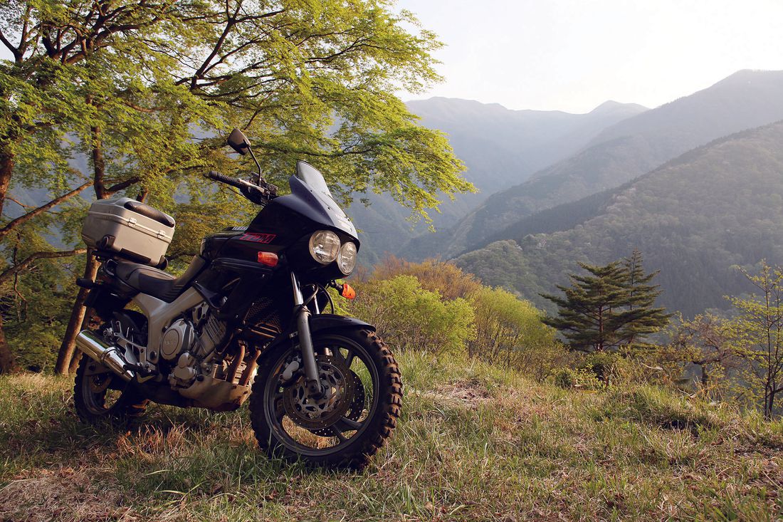 アヘッド ヤマハ TDM850