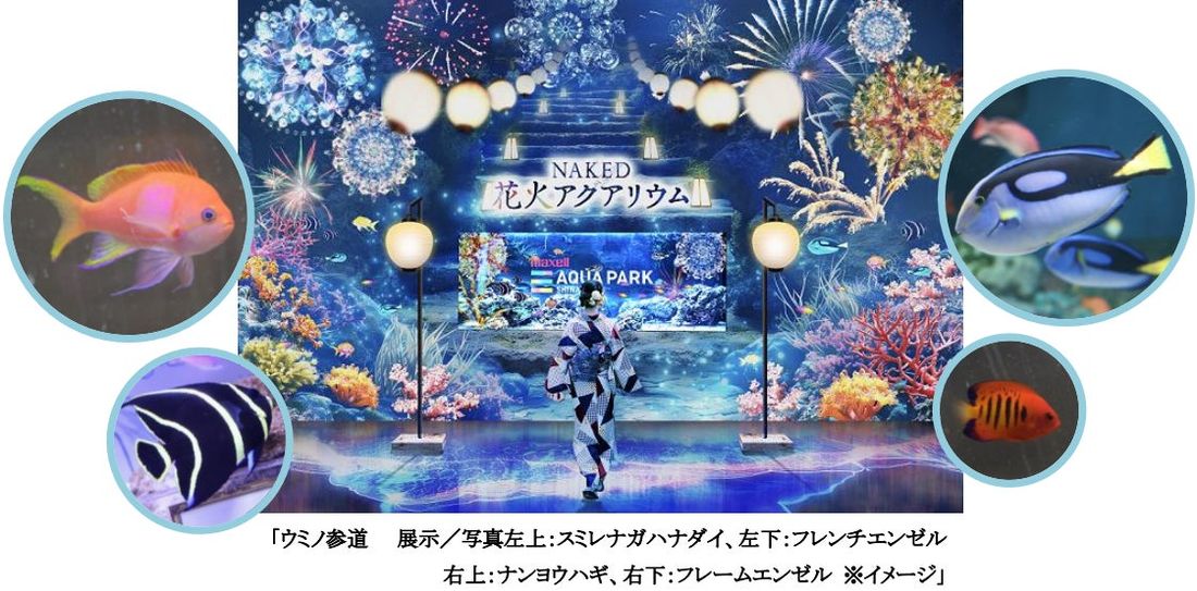 【マクセル アクアパーク品川】花火に夏祭り、納涼体験、音楽フェス!『NAKED 花火アクアリウム』【2024年7月13…
