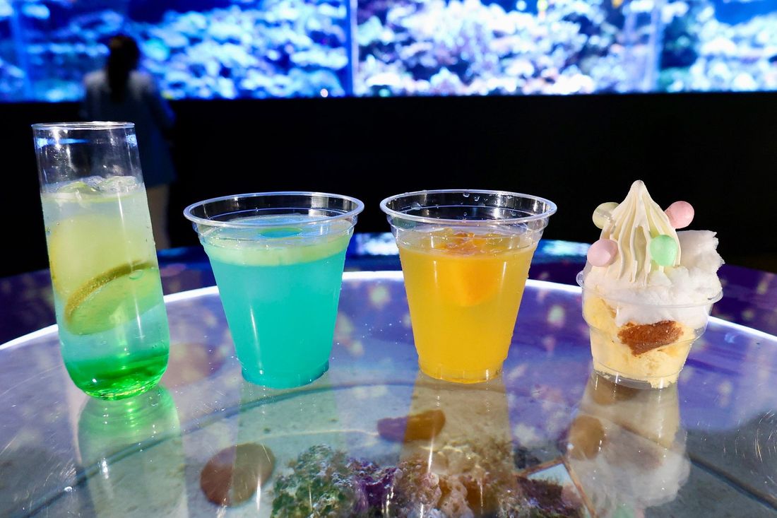 【マクセル アクアパーク品川】花火に夏祭り、納涼体験、音楽フェス!『NAKED 花火アクアリウム』【2024年7月13…