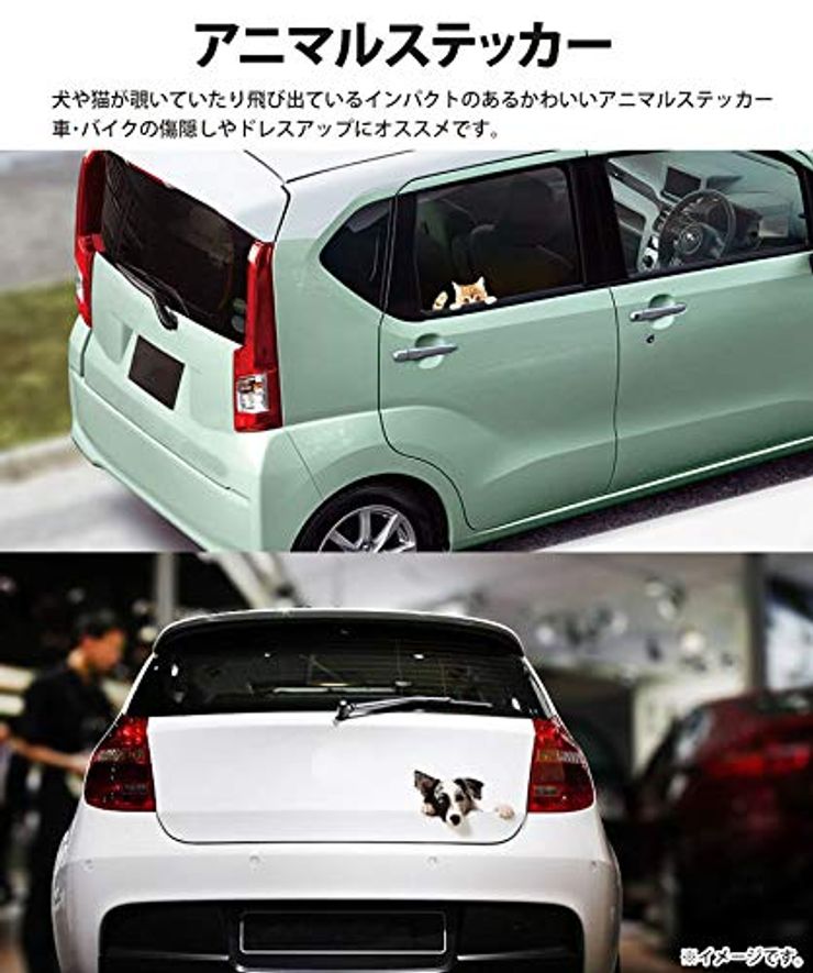 prendre カーステッカー（飛び出す猫） PR-PETST-TOBI