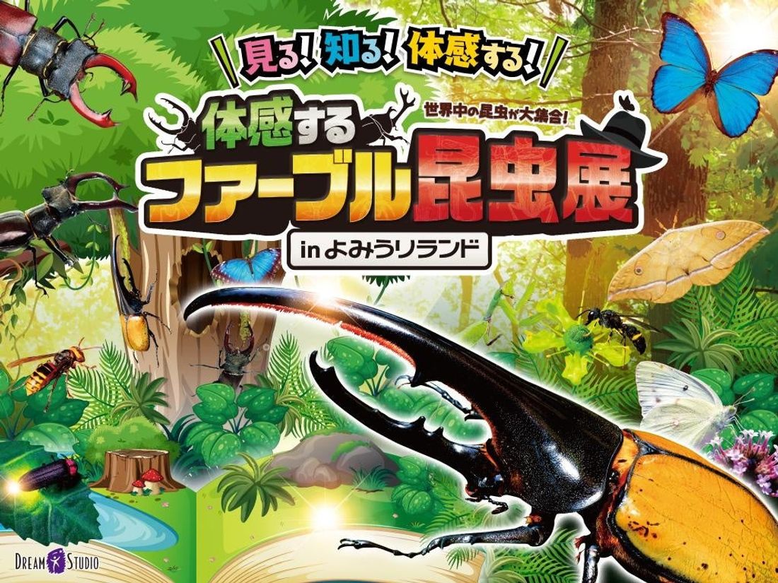 「体感するファーブル昆虫展」開催