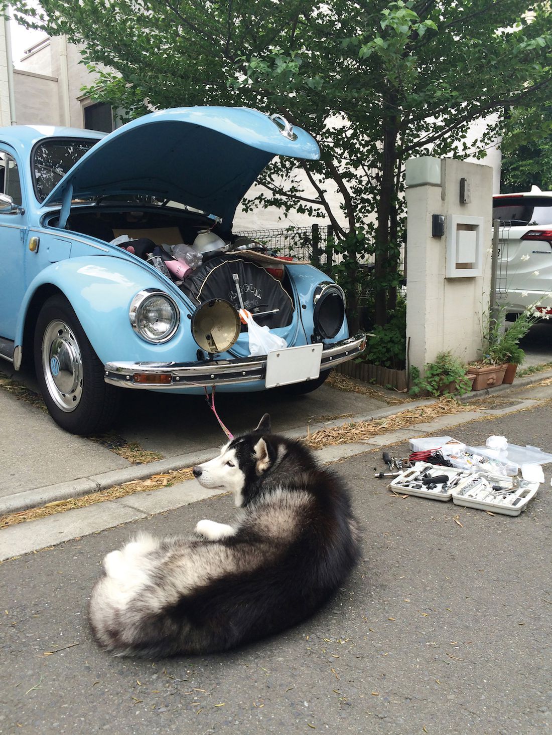 クルマは自分の代名詞 花ちゃんとビートル