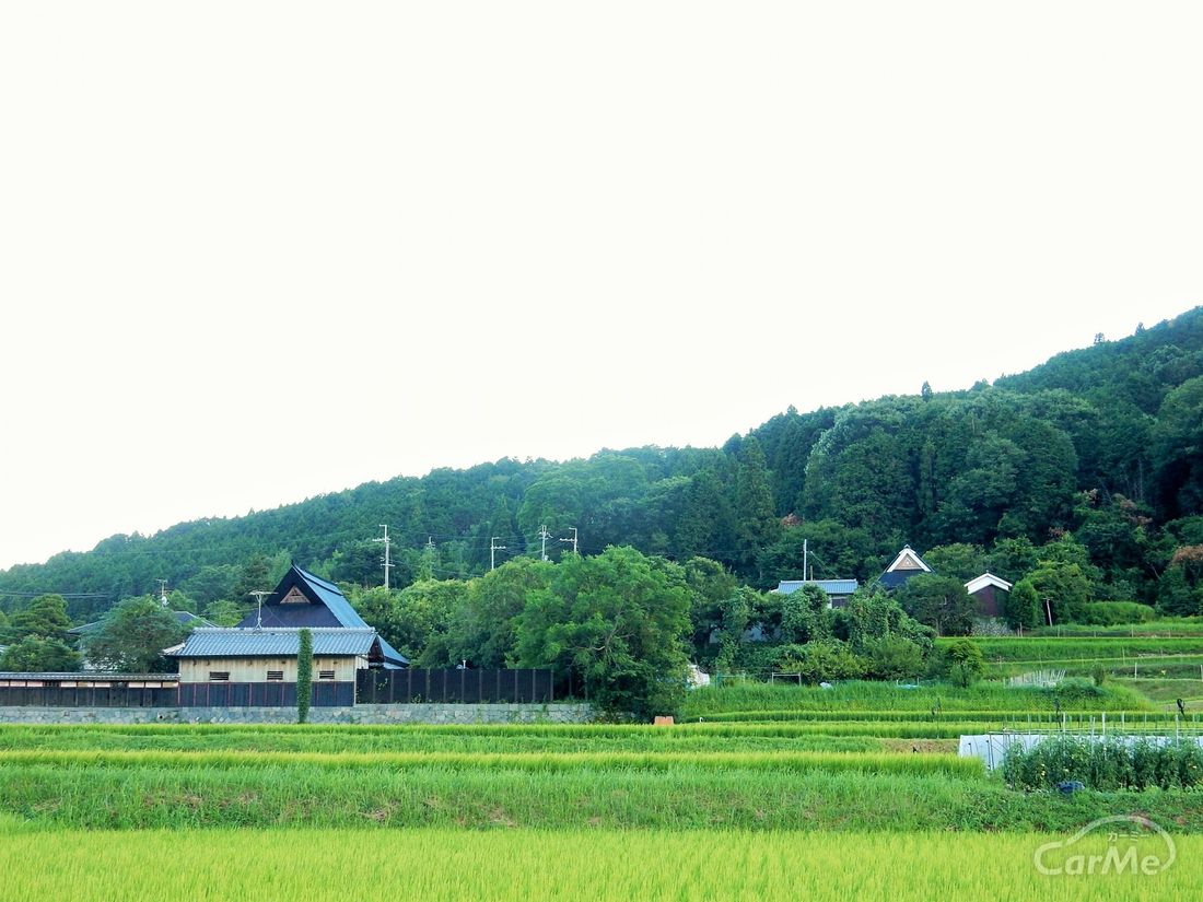 帰省