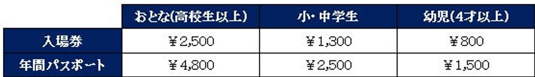 【マクセル アクアパーク品川】花火に夏祭り、納涼体験、音楽フェス!『NAKED 花火アクアリウム』【2024年7月13…
