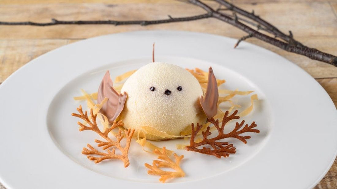 【新富良野プリンスホテル】雪の妖精「シマエナガ」と過ごす、とことん!シマエナガ旅シマエナガを探すバードウォッチング体験…