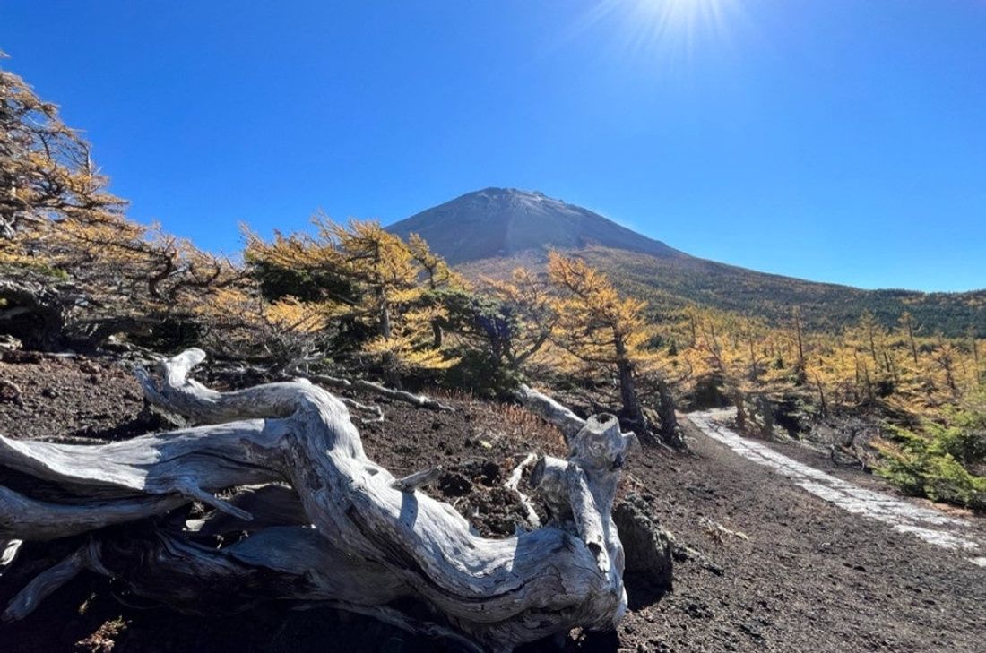 アクティビティツアーやレンタサイクルなど富士山麓のレジャーなら富士観光トラベルへ!公式WEBサイトリニューアルのお知らせ
