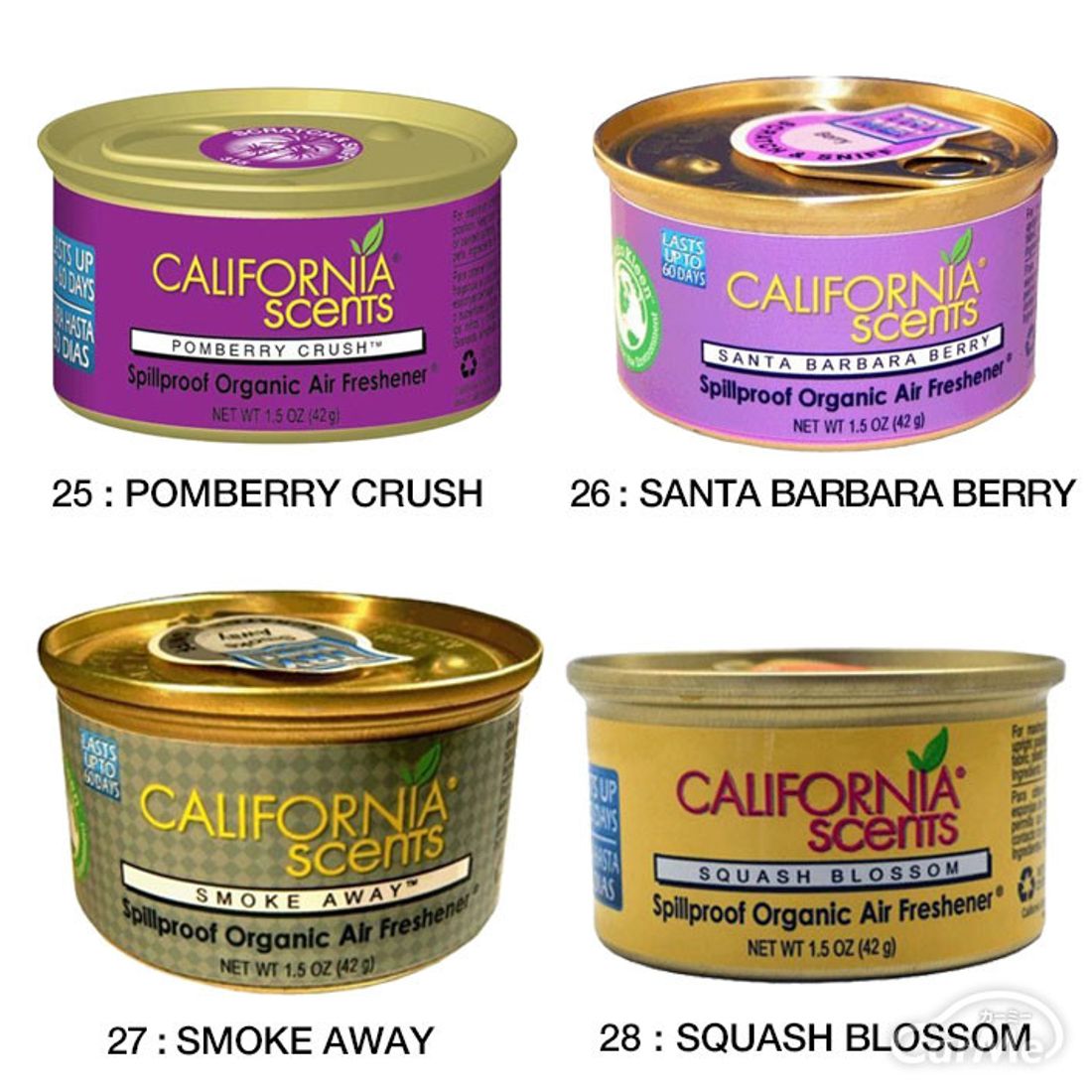 車の消臭剤おすすめ18選 カビ臭に効果的な対策方法とは