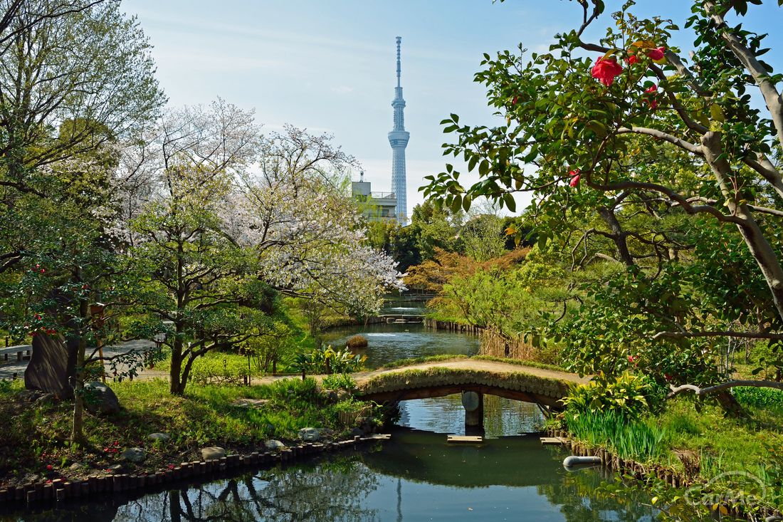 向島百花園